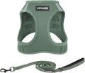 Best Pet Supplies Voyager Step-in Air All Weather Mesh Harness and Reflective Dog 5ft Leash Combo with Neoprene Handle, for Small, Medium and Large Breed Puppies - Moss Green, X-Small by BestPetSuppliesLLC
