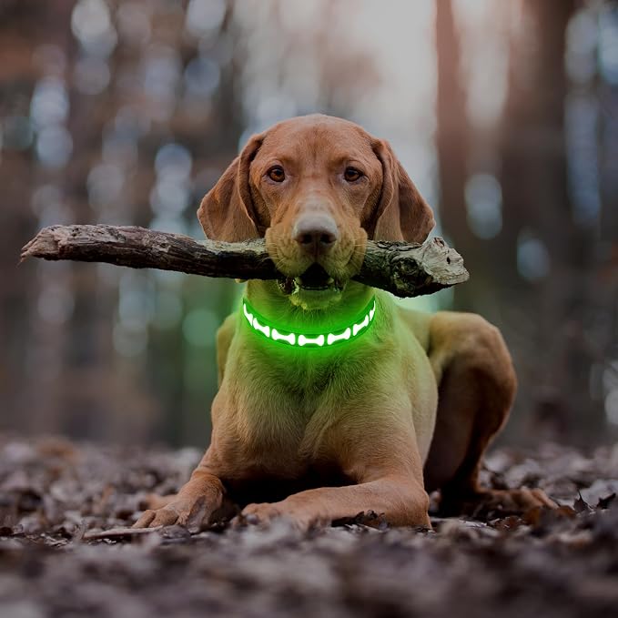 Flashseen LED Dog Collar Light Up USB-C Rechargeable (Green, Small) | Glow in the Dark Collar for Night Walking, Adjustable Waterproof Visibility Glowing Collars for Dogs - Image 6