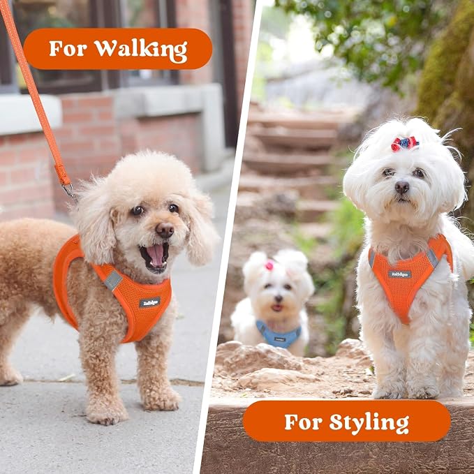 rabbitgoo Step-in Small Dog Harness, Puppy Vest for Small Medium Sized Pet | Easy Put on and off, Lightweight, Soft, Breathable Quick-Dry Air Mesh for Comfortable Secure Walking, Orange L - Image 9
