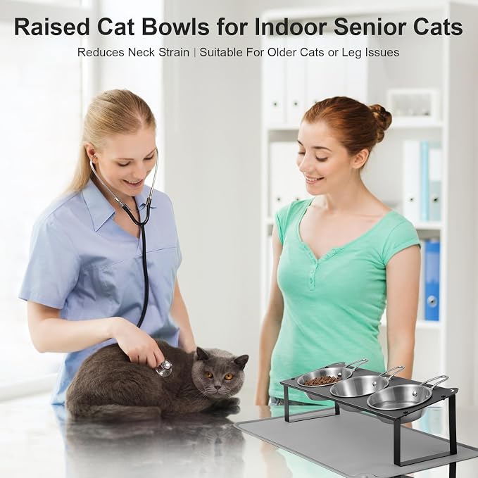 Elevated Cat Bowls with Food Mat, 10°Tilted Non-Slip Raised Cat Food Water Bowls Set, 3 Thick Stainless Steel Pets Dishes with Handles to Indoor Kitten Puppy, Anti-Vomiting Cute Metal Feeding Stand - Image 6