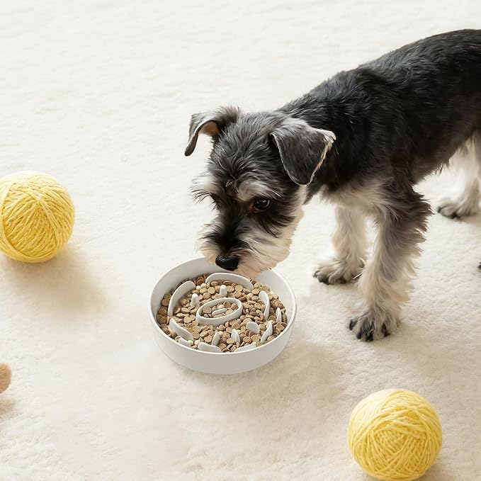 Ceramic Slow Feeder Dog Bowl - Feeding Dish for Fast Eaters - Maze Dog Bowl to Slow Down Eating - Ideal Food Control Dish for Small Breeds - 0.8 Cups (80g) - 6.3 Inch - White - Image 7