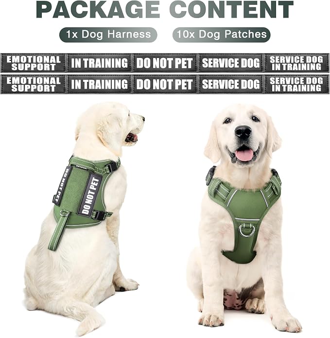 Tactical Dog Harness, No Pull Dog Harness for Medium Large Dogs with Handle & Molle, Military Service Dog Vest Harness in Training Pet Harness for Small Dogs - Image 2