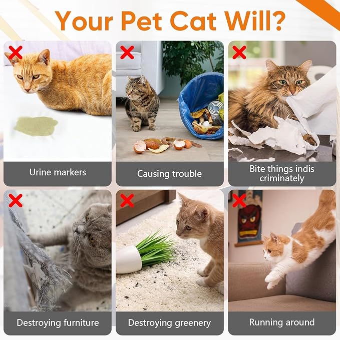Cat Deterrent Spray 2 Pack, Natural Non-Toxic Plant Based Anti-Scratch & Anti-Marking Spray for Cats & Kittens, Orange Scent Pet Training Aid, Safe for Pets, Indoor Outdoor Furniture, Protector 7.0 Oz - Image 3