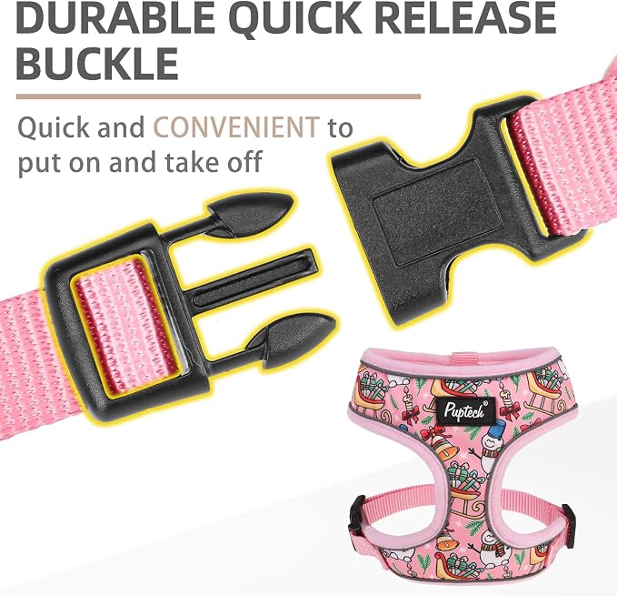 PUPTECK Small Dog Harness and Leash Set No Pull for XS XXS Sized Dogs Puppy | Escape Proof No Choke Pet Cat Adjustable Soft Padded Walking Vest - Image 4