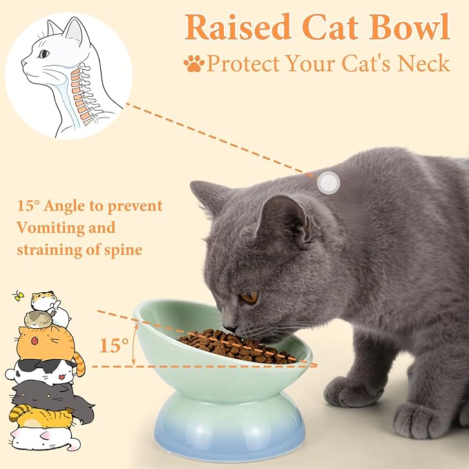Elevated Cat Food Bowl 5 Oz Ceramic Raised Tilted Water Dishes, 15° Tilt Anti Vomiting, Protect Pets' Spines Bowls for Small Dog, Fat Faced Cat, Kitten - Image 3