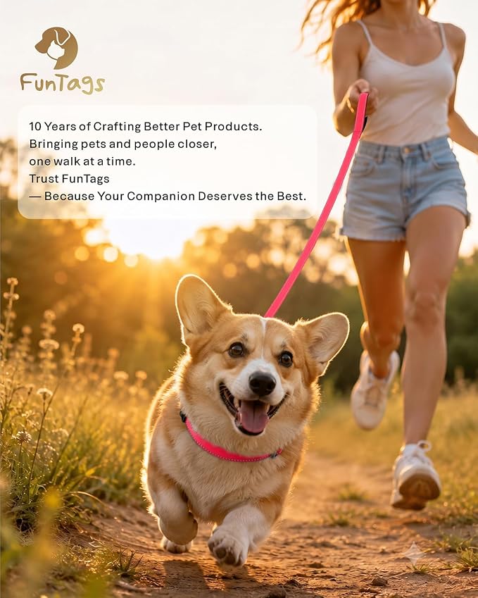 FunTags Reflective Nylon Dog Leash for Small & Medium Dogs, 6FT for Walks | Comfortable Padded Grip, Stay Safe at Night, 360° Anti-Tangle Swivel, for Dog Parks & Trails, Red - Image 9