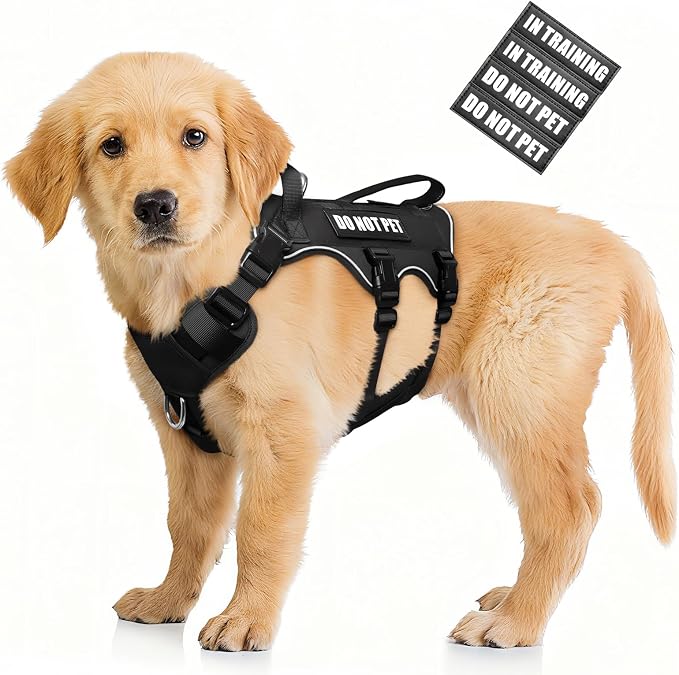 WINSEE Escape Proof Dog Harness with Double Handle+4 Removable Patches | Service Working Molle Harness with Double Handle for Small Dogs, Tactical Pet Reflective Vest for Walking Hiking Hunting by WINSEE