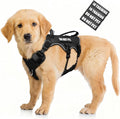 WINSEE Escape Proof Dog Harness with Double Handle+4 Removable Patches | Service Working Molle Harness with Double Handle for Small Dogs, Tactical Pet Reflective Vest for Walking Hiking Hunting by WINSEE