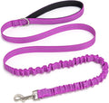 5FT Bungee Dog Leash Shock Absorbing Lightweight Small Medium Dogs | Reflective Nylon Lead- 2cm Wide- Soft Handle- Anti-Pull Training- 6 Colors by Mycicy