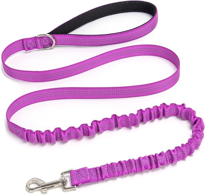 5FT Bungee Dog Leash Shock Absorbing Lightweight Small Medium Dogs | Reflective Nylon Lead- 2cm Wide- Soft Handle- Anti-Pull Training- 6 Colors by Mycicy