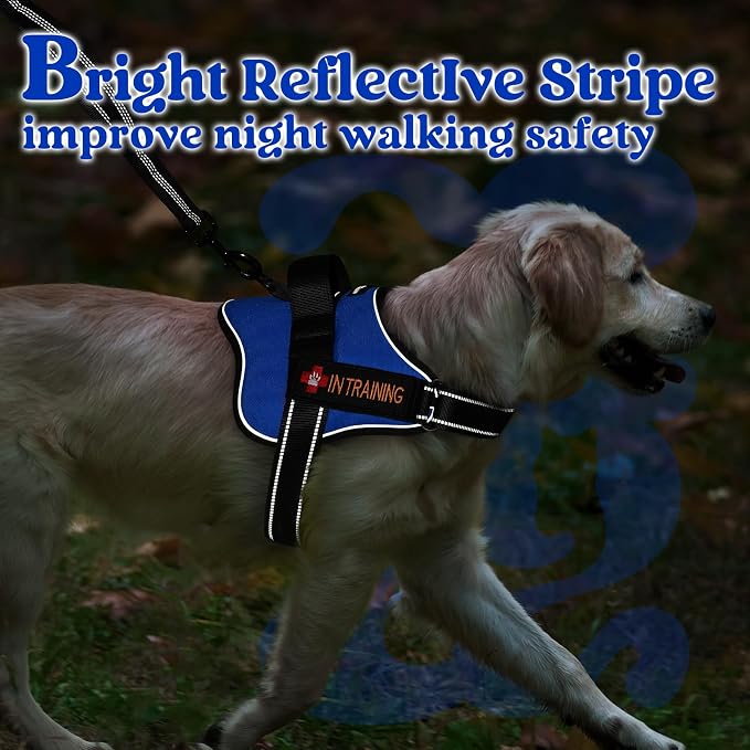 rabbitgoo No Pull No Choke Pet Vest, Adjustable Pet Harness with Molle | Large Sized Dog Harness, Reflective, Easy Wearing with One Buckle for Walking, Training, Blue, L - Image 8