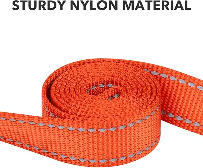 Taglory Reflective Dog Leash for Small Dogs, 3/4in x 6ft, Orange | Ideal for Night Walking, Strong for Sudden Pulls, Lightweight & Gentle on the Neck, Soft Padded Handle - Image 3