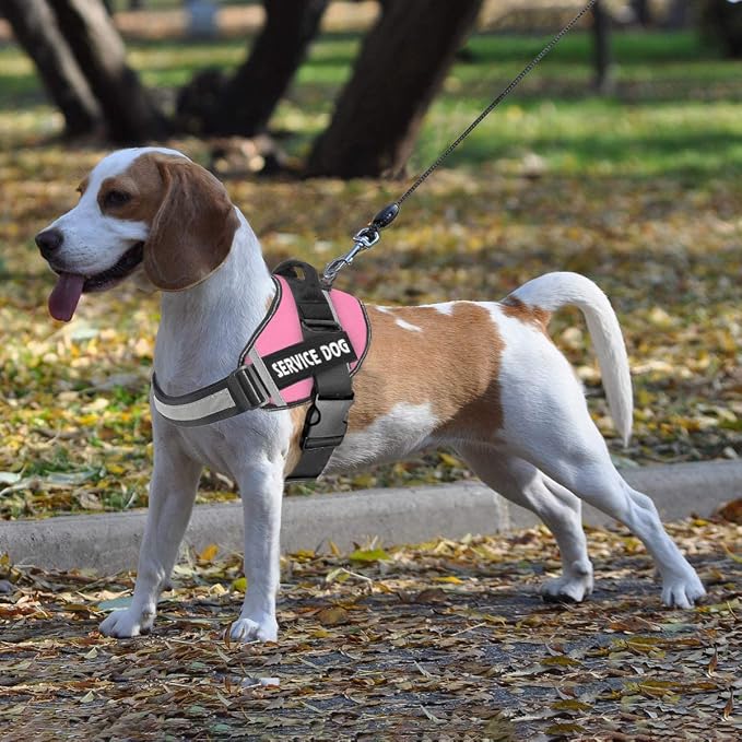 JSXD Dog Harness,No-Pull Service Dog Harness with Handle Adjustable Outdoor Pet Dog Vest 3M Reflective Nylon Material Vest for Breeds,Easy Control for Small Medium Large Dogs - Image 7