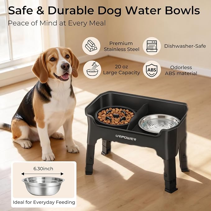 URPOWER Mess Proof Elevated Dog Bowls for Small Dogs with Slow Feeder | No Spill Water Bowl, Slow Feeder Dog Bowls, Non-Slip Food and Water Bowl Set for Small, Medium & Large Dogs - Image 5