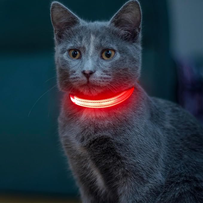 Light up Dog Collar for Small Dog,Vizpet XS Adjustable Size Nylon Collar USB Rechargeable Bright Safety Pet Collar for Cats Dogs (Red，XS) by VIZPET