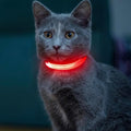 Light up Dog Collar for Small Dog,Vizpet XS Adjustable Size Nylon Collar USB Rechargeable Bright Safety Pet Collar for Cats Dogs (Red，XS) by VIZPET