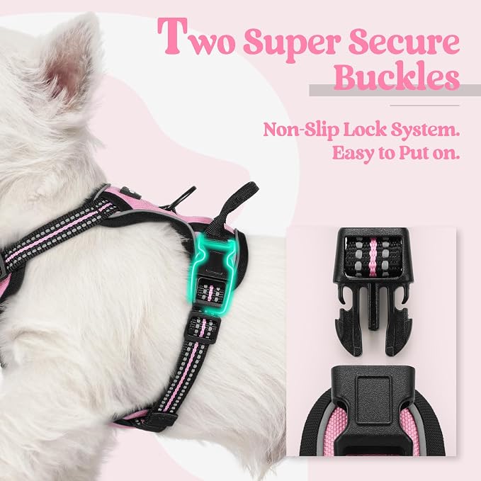 rabbitgoo Dog Harness No Pull with 2 Leash Clips, Adjustable Soft Padded, Reflective Oxford No Choke Pet Vest with Easy Control Handle for Puppy, Pink, XS | No Choke with Handle, Adjustable Soft Padded, Reflective, Easy Control for Walking, Pink, X-Small - Image 3