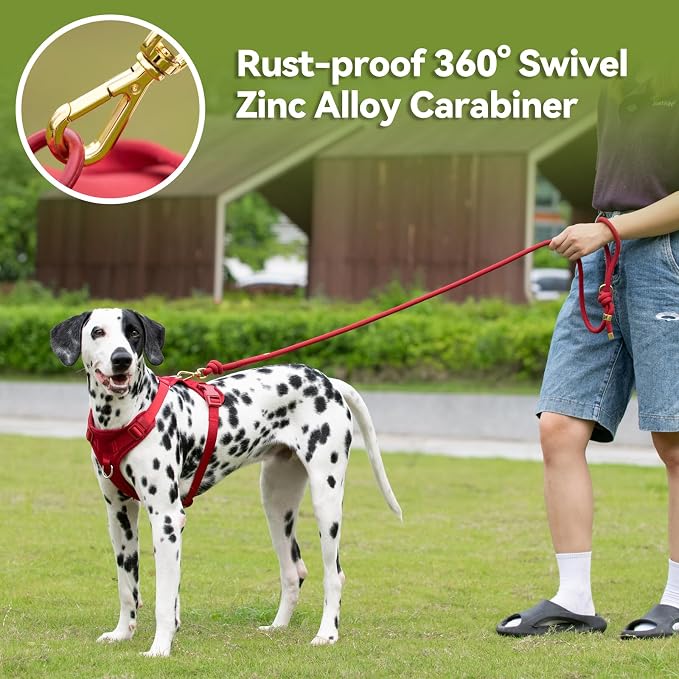 5FT Dog Leash Puppy Cat Rope Lead for Small Medium Large Dogs | Burgundy Red,with Anti-tangle Swivel Clip, Comfortable Grip Handle,Ideal for Daily Walks and Training - Image 5