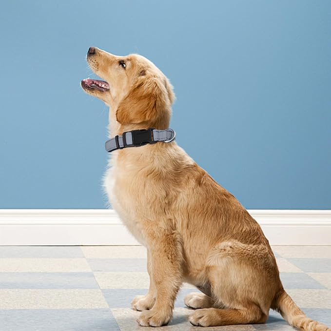 Reflective Dog Collar, Adjustable Soft Neoprene Padded,Gray,L | Breathable Nylon for Large Dogs,Tear-Resistant Webbing,Chafe‑Free on Walks and Hikes,Metal D-Ring,Night Safety - Image 2