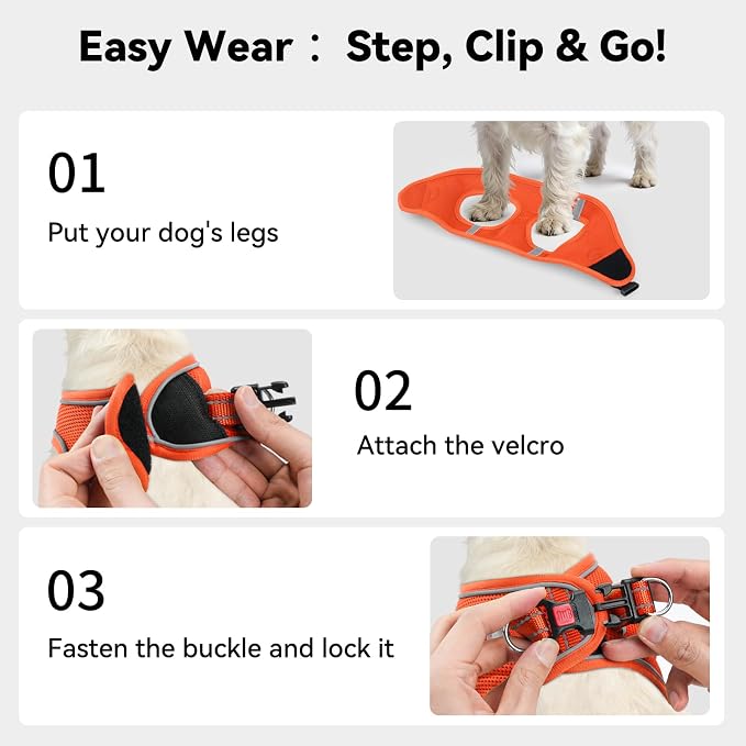 Joytale Step-in Dog Harness, Soft Breathable Mesh, Orange L | Adjustable Fit for Small Dogs, Easy Step-in with Secure Fastener, Even Chest Pressure, Reflective For Night Safety, Washable - Image 3