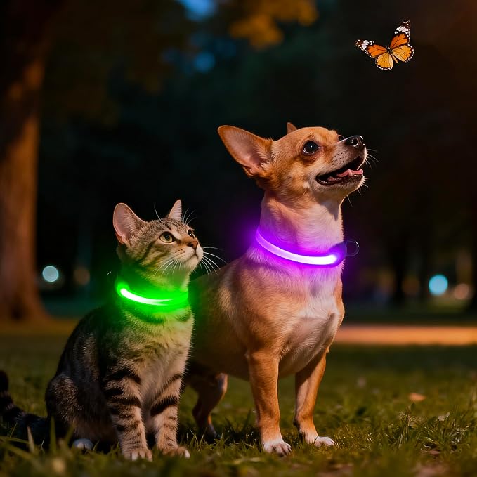 Light up Collar for Small Dog,Vizpet XS Led Adjustable Small Size Collar | USB Rechargeable Bright Safety Pet Nylon Collar for Cats Small Dogs (Purple) - Image 7