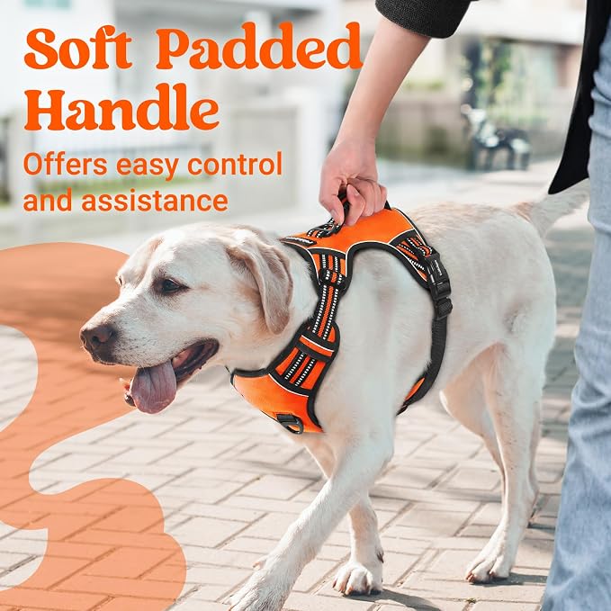 rabbitgoo Large Dog Harness, Easy Wear with 3 Buckles and Lift Handle | No Pull with Front Clip for Walking, Adjustable Soft Padded, Reflective, Easy Control, Orange, Medium - Image 2