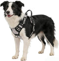 Gray No-Pull Dog Harness with 2 Leash Clips，Soft Padded Vest for Medium Dog, Adjustable Reflective Dog Vest Easy to Put on and Take Off, (Neck: 14"~20", Chest: 21"~27", Gray M) by Unknown