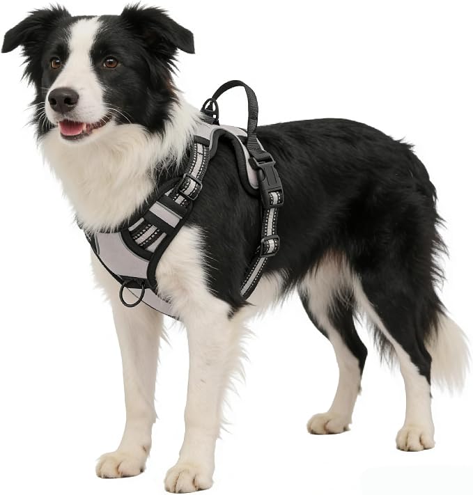 Gray No-Pull Dog Harness with 2 Leash Clips，Soft Padded Vest for Large Dog, Adjustable Reflective Dog Vest Easy to Put on and Take Off,Neck: 18"~26", Chest: 25"~34",Gray XL - Image 5
