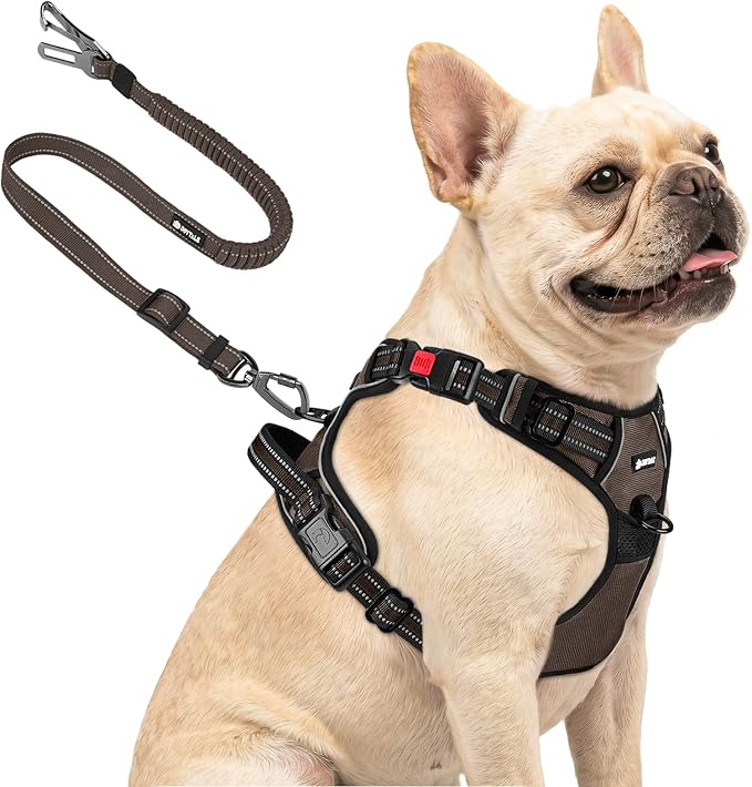 Joytale No Pull Dog Harness & Seat Belt, Easy On 3-Buckle, S, Brown | Front Clip Reduces Pulling, Escape-Resistant Design, Adjustable Fit, Soft Padding for Comfort, Secure Tether for Safer Travel by Joytale