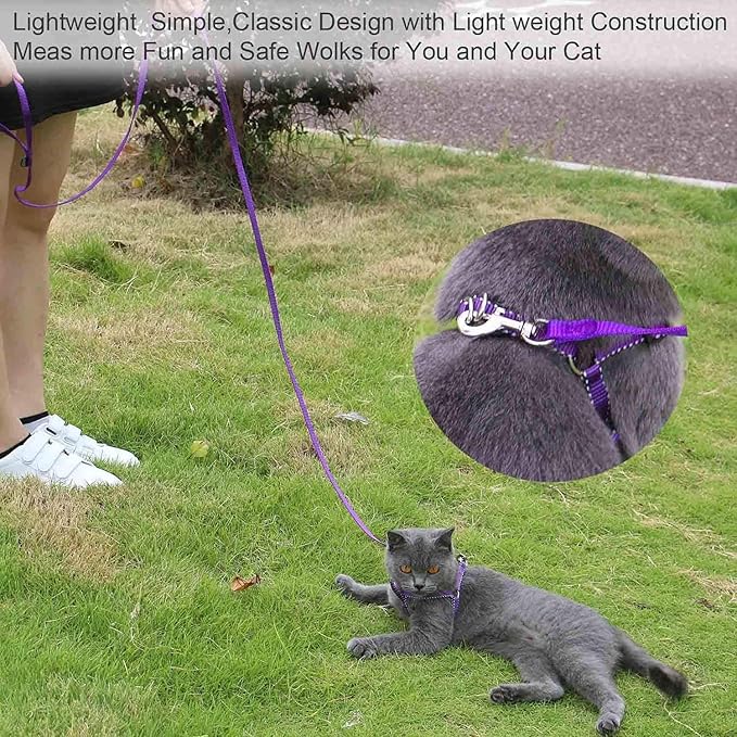 AMAGOOD 6 FT Puppy/Leash, Strong Traditional Style with Easy to Use Collar Hook, Great for Small, Medium and Large Dogs (5/8in x 6 ft, Purple) - Image 6