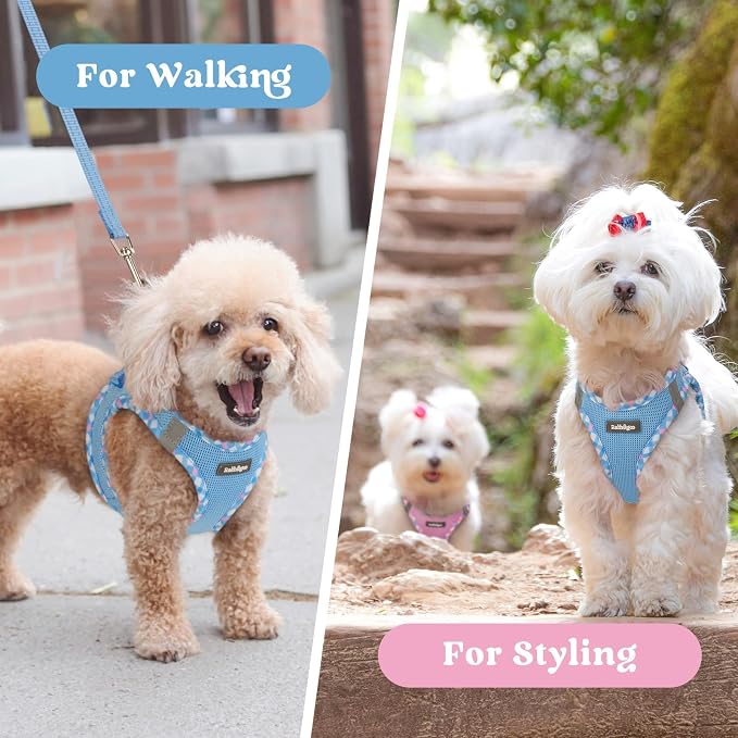 rabbitgoo Step-in Small Dog Harness, Puppy Vest for Small Sized Pet | Easy Put on and off, Lightweight, Soft, Breathable Quick-Dry Air Mesh for Comfortable Secure Walking, Blue & Plaid Trim M - Image 9