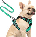 Joytale No Pull Dog Harness & Seat Belt, Easy On 3-Buckle, S, Teal | Front Clip Reduces Pulling, Escape-Resistant Design, Adjustable Fit, Soft Padding for Comfort, Secure Tether for Safer Travel by Joytale