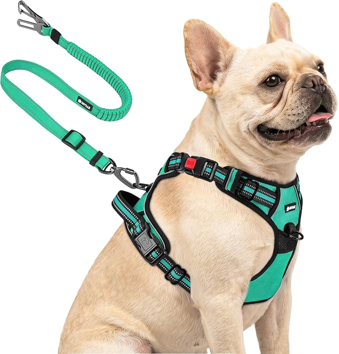 Joytale No Pull Dog Harness & Seat Belt, Easy On 3-Buckle, S, Teal | Front Clip Reduces Pulling, Escape-Resistant Design, Adjustable Fit, Soft Padding for Comfort, Secure Tether for Safer Travel by Joytale