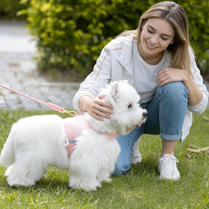 5FT Dog Leash 5/16 inch Puppy Cat Rope Lead | Light Pink,with Anti-tangle Swivel Clip, Comfortable Non-slip Grip Handle, Ideal for Daily Walks, for Small Medium Dogs - Image 7