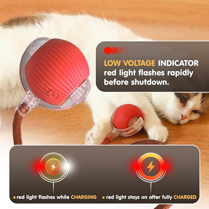 Rocfish Durable Interactive Cat Toys for Indoor Cats (red, 01) | Smart Automatic Cat Chase Ball Toy, Upgraded Speedy Tail Kitten Toy for Bored Indoor Adult Pets - Image 7