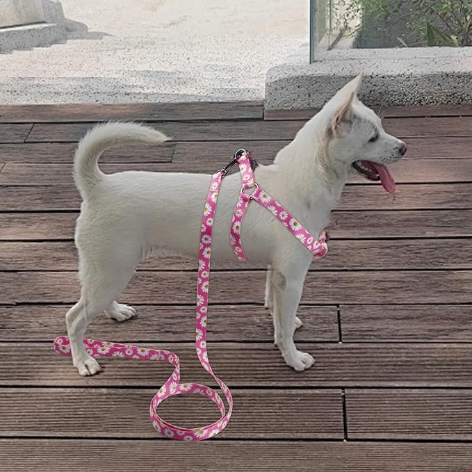 Dog Harness Leash Set Adjustable Heavy Duty No Pull Halter Harnesses for Small Medium Large Breed Dogs Back Clip Anti-Twist Perfect for Walking (L(23"-32" Chest Girth), Daisy) - Image 7