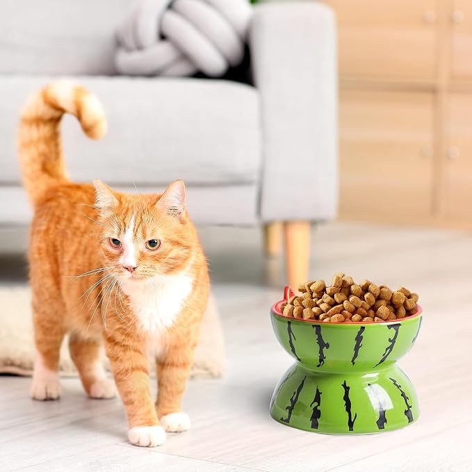Elevated Cat Bowl Ceramic Raised Cat Food Water Bowls for Indoor Kitten | 5.2In Tilted Anti Vomiting Slow Feeder Cat Dishes, Whisker Friendly, Cute Watermelon Design - Image 2