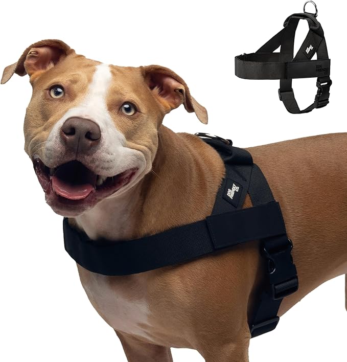 Dog Friendly Co. Dog Harness for Large Dogs (Black, Large) | One Click Buckle, Chafe Resistant Webbing, Adjustable Neck & Chest, and Heavy Duty D-Ring, Sturdy Comfortable and Easy to Use by DogFriendly