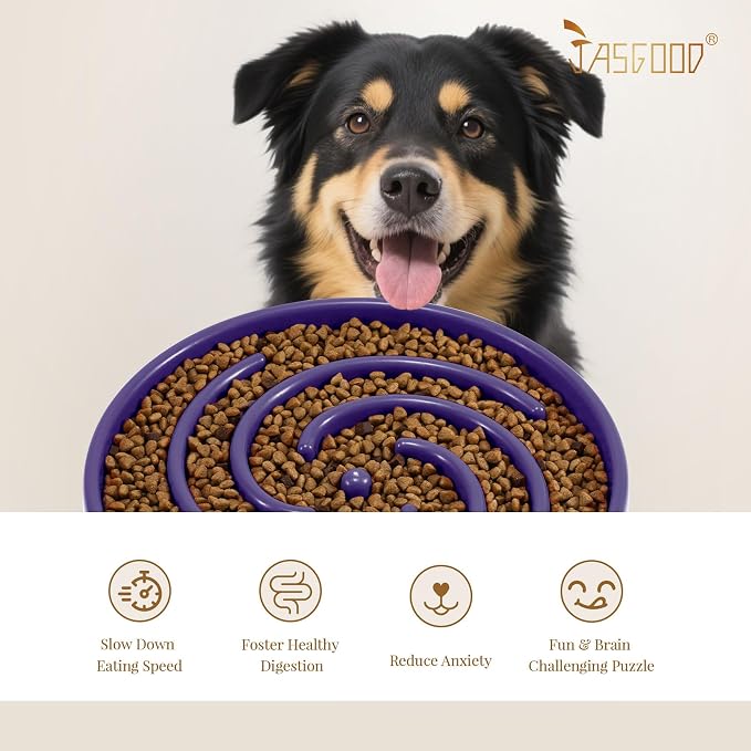 JASGOOD Slow Feeder Bowl for Large Dogs, Anti-Gulping Pet Bowl, Prevents Bloat & Choking - Image 6