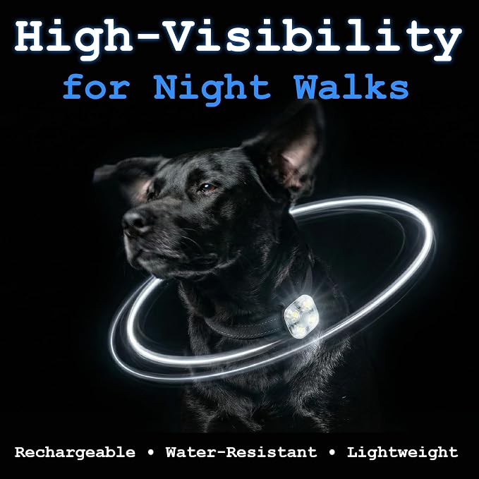 Dog Collar Light, Rechargeable LED Dog Safety Light for Night Walking, Clip-On or Strap-On Pet Light for Collar, Harness and Leash, High Visibility, Water-Resistant, USB-C, White - Image 2