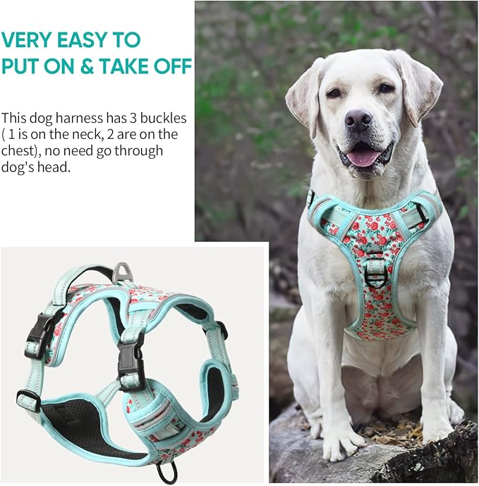 Timos Dog Harness, Front Clip No Pull Medium Sized with Handle, Cyan, M | No Choke, Adjustable Reflective Soft Padded, Quick Release 3 Buckles, Easy On & Off, Front & Back 2 Clips for Outdoor Walking - Image 7