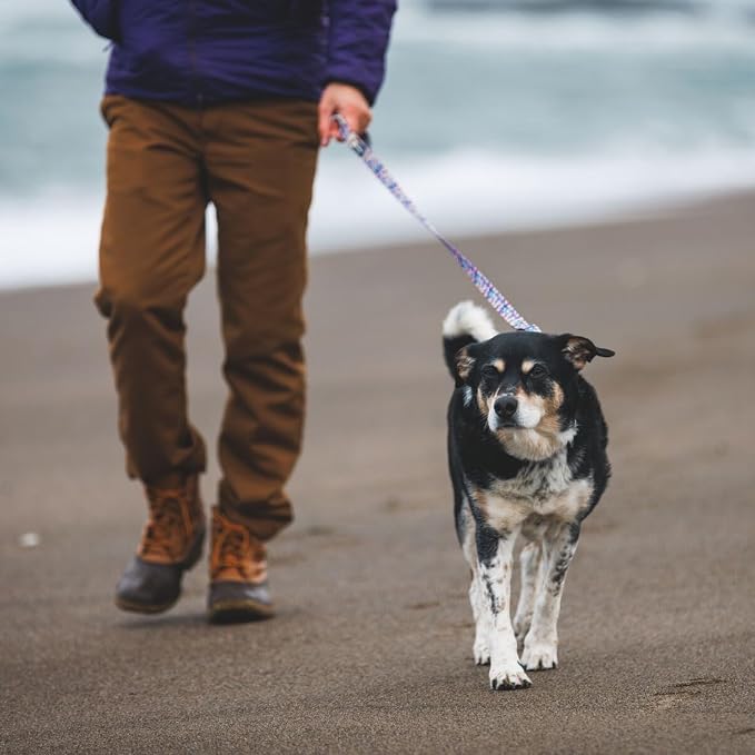 Ruffwear, Front Range Dog Leash, 5 ft Lead, Reef Fish | Light & Strong Lockable Swivel Crux Clip, Padded Handle, Durable Webbing, Traffic Handle & Accessory Loop for Everyday Walks - Image 4