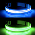 LED Dog Collar, Dog Light Up Collar,for Night Walking (Blue, X-Large) | Full Adjustable,Waterproof,Nylon,Soft,Super Bright Light Collars for Small Medium and Large Dogs,USB C to Charge by YFbrite