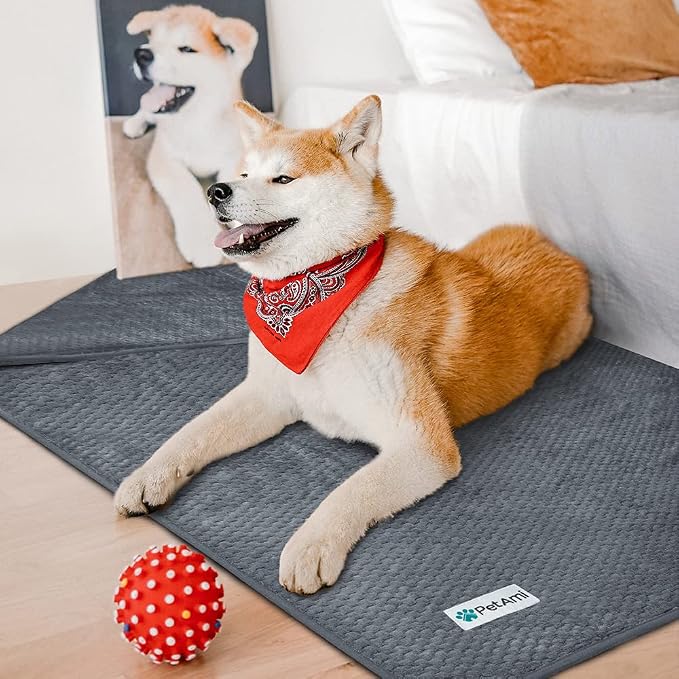PetAmi Waterproof Dog Blanket, Leakproof Puppy Blanket, 29x40 Dark Gray | For Small Medium Pets, Furniture Sofa Couch Cover Protector, Fleece Throw Indoor Cat Kitten, Reversible Washable Soft Plush - Image 5