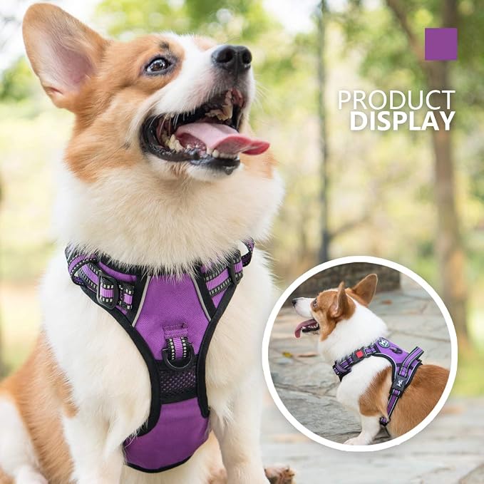 PoyPet Dog Harness Medium, No Pull Vest with Front/Back Clip & Neck Buckle | No Choke, Lockable, Reflective, 2 Lead Rings, Adjustable, Soft Padded Handle for Training Walking, M, Purple - Image 6