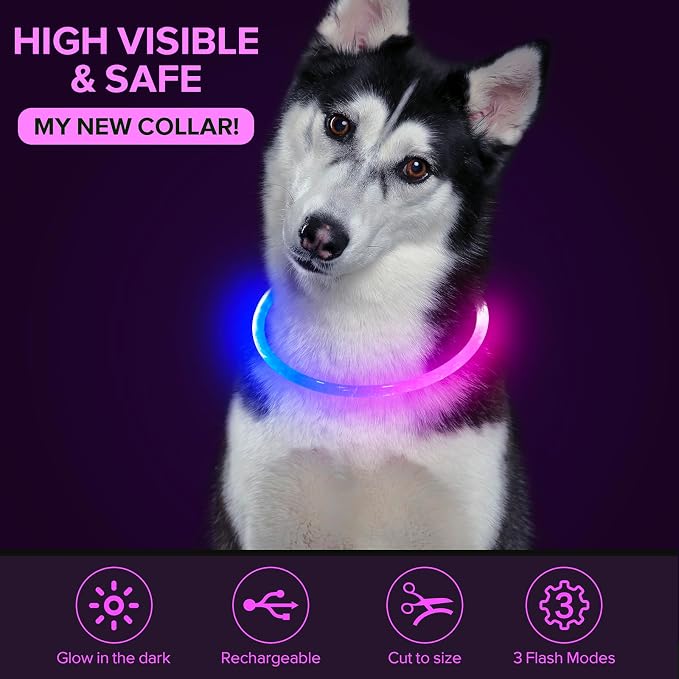 Colaseeme Light Up Dog Collar, USB Rechargeable Glow Necklace, Pink+Blue | Waterproof IP67, Cut-to-Fit TPU, 360° Night Safety, Pet Visibility Light, Camping & Walking, Fits Small-Large Dogs - Image 4