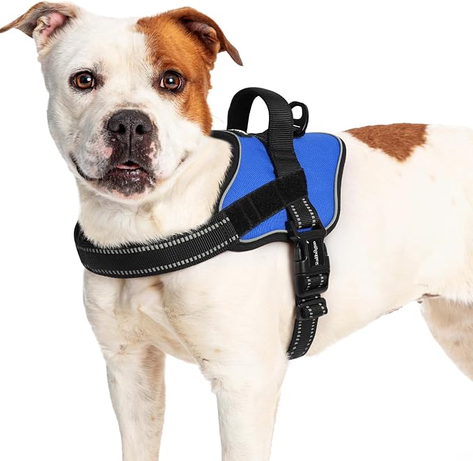 rabbitgoo No Pull No Choke Pet Vest, Adjustable Pet Harness with Molle | Large Sized Dog Harness, Reflective, Easy Wearing with One Buckle for Walking, Training, Blue, L by rabbitgoo