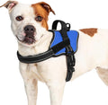 rabbitgoo No Pull No Choke Pet Vest, Adjustable Pet Harness with Molle | Large Sized Dog Harness, Reflective, Easy Wearing with One Buckle for Walking, Training, Blue, L by rabbitgoo