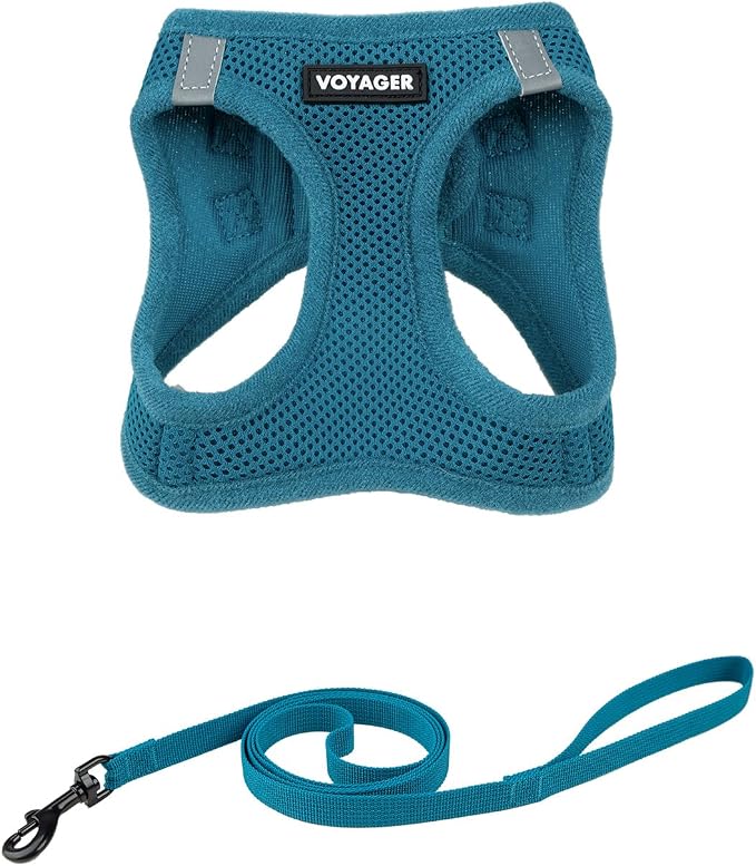 Voyager Step-in Air Cat Harness & Leash Set - Turquoise, S | 14 - 16" in Chest, Reflective Bands, All Weather Breathable Air Mesh, Cats Compatible, Fast Drying by BestPetSuppliesLLC