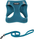 Voyager Step-in Air Cat Harness & Leash Set - Turquoise, S | 14 - 16" in Chest, Reflective Bands, All Weather Breathable Air Mesh, Cats Compatible, Fast Drying by BestPetSuppliesLLC